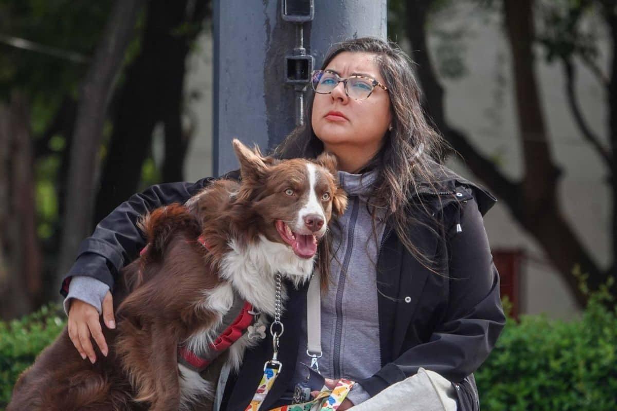¿Con quién se queda el perro? Aprueban custodia compartida de mascotas en casos de divorcio