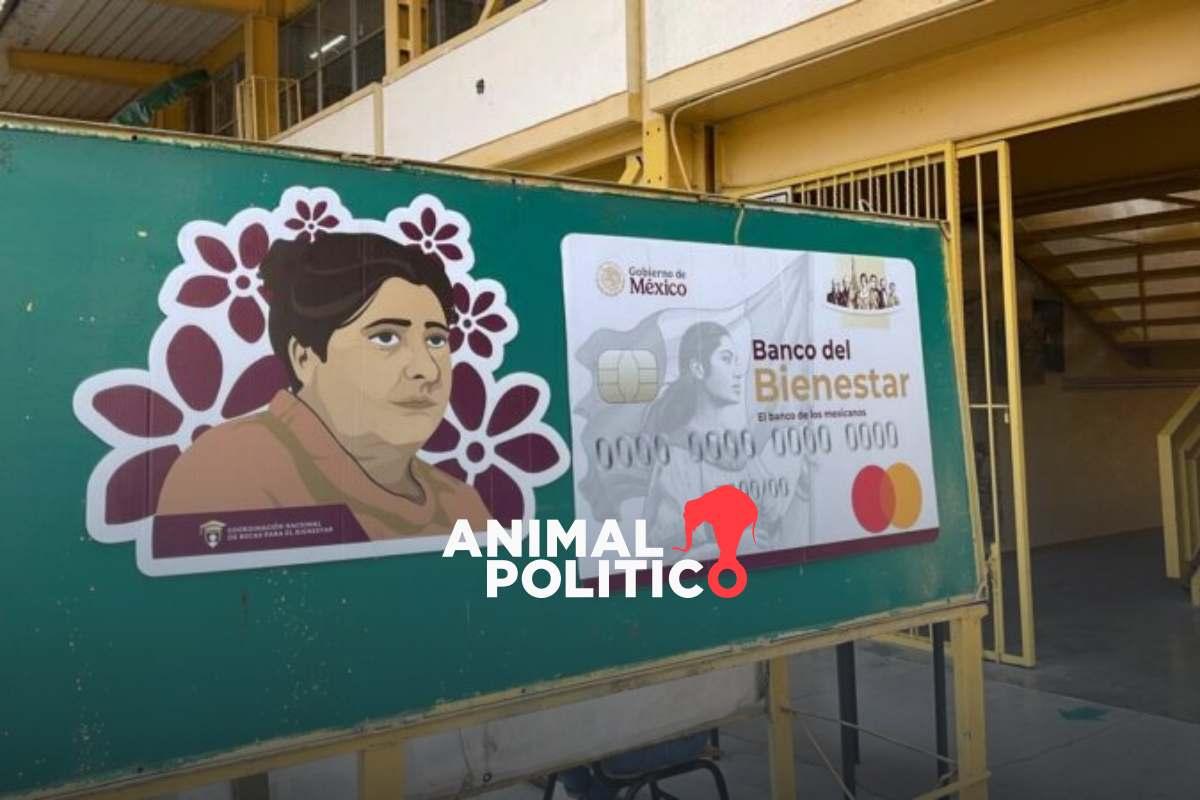 Beca Rita Cetina: así puedes actualizar tus medios de contacto de la Llave MX para evitar problemas en tu registro