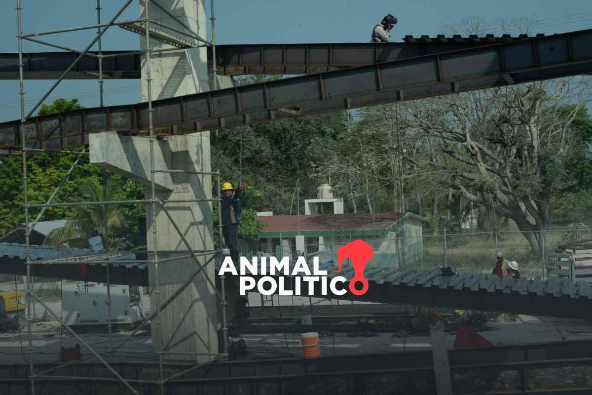 Creación del Corredor Biocultural Gran Selva Maya traerá expansión de megaproyectos, advierten organizaciones