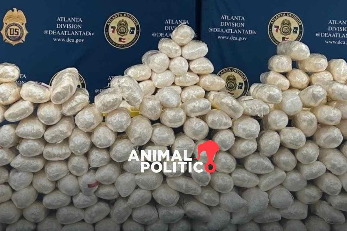 DEA detiene a 670 integrantes del CJNG y decomisa fentanilo, cocaína, armas y millones de dólares