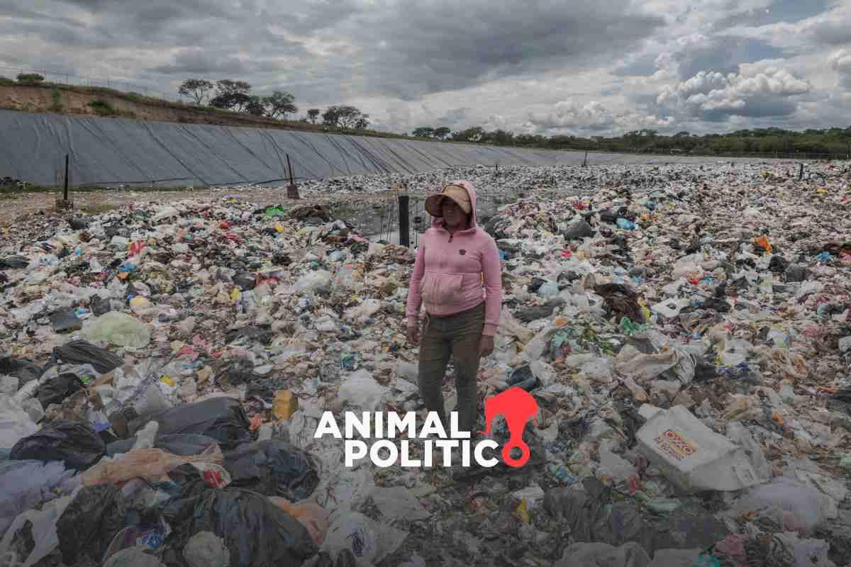 Con proyecto “Ecored”, recicladores de Guanajuato dignifican su trabajo ...