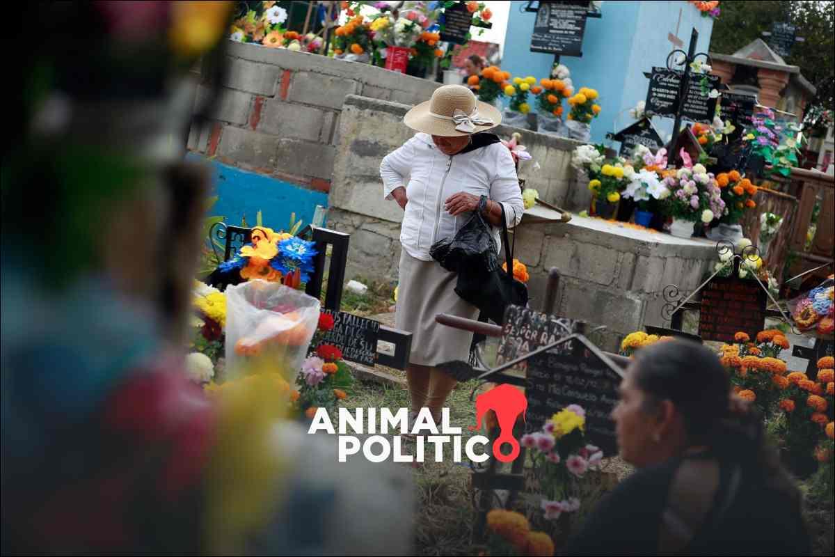 Inegi reporta casi 212 mil defunciones en primer trimestre de 2025; homicidios encabezan muertes de jóvenes adultos