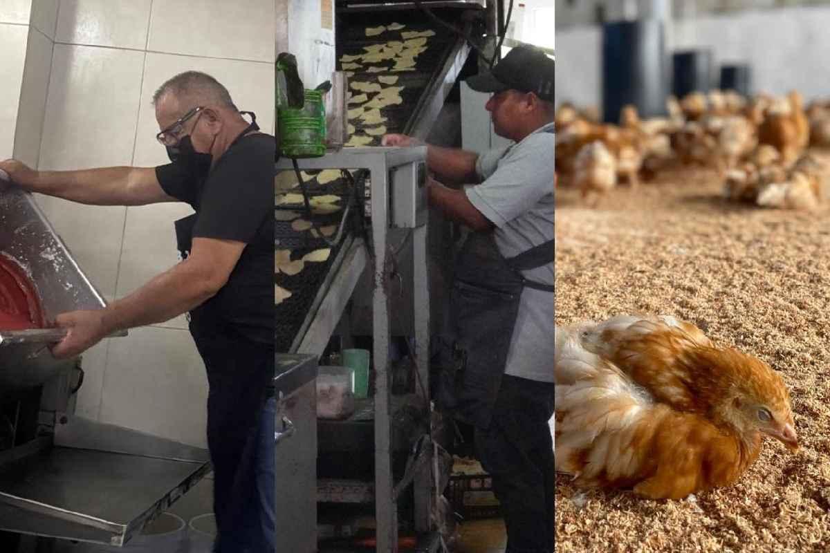 Productos locales de calidad llegan a los anaqueles de OXXO