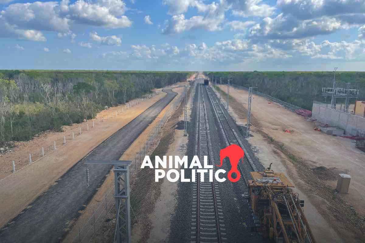 Cinco de 16 programas sobre transición energética del PEF 2026 irán a infraestructura ferroviaria, Tren Maya y petroquímica