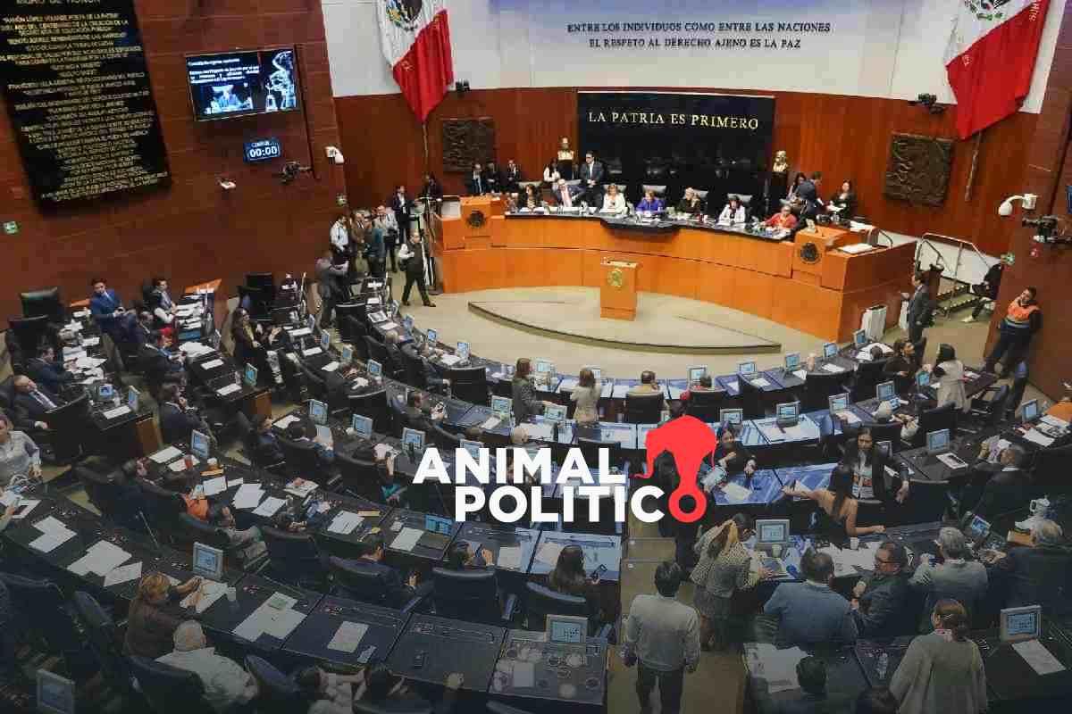 Doce magistrados de circuito pasarán a plenos regionales; Senado cubrirá vacantes con segundos lugares de elección judicial