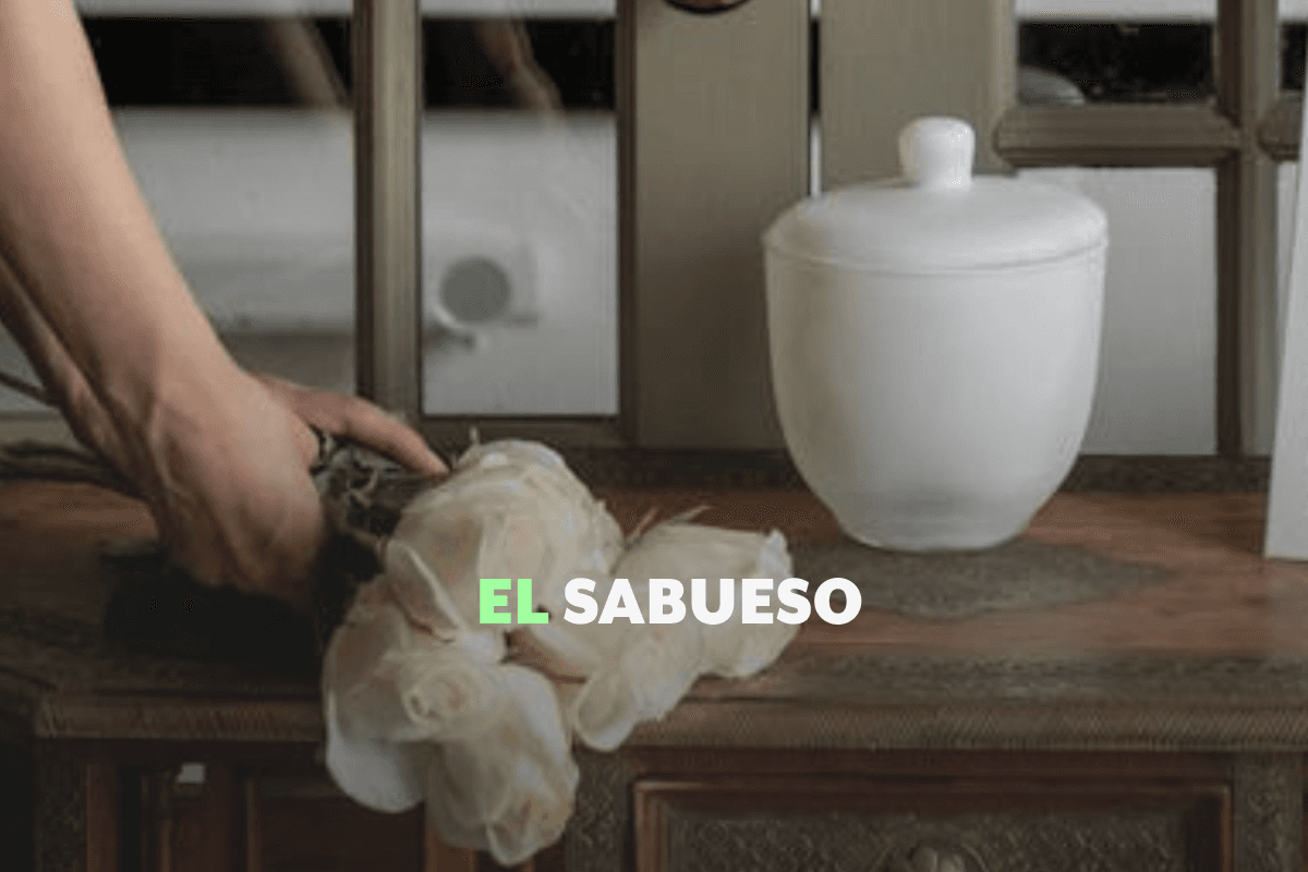 ¿Es legal esparcir las cenizas de un difunto en la naturaleza o tenerlas en casa? Te explicamos