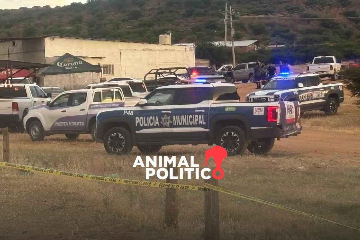 Balacera durante carrera de caballos en Parral, Chihuahua, deja ocho muertos