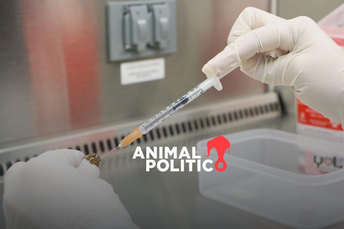 Diagnóstico tardío en 40 % de los casos de VIH; Red de Respuesta busca cerrar brecha en prevención y atención