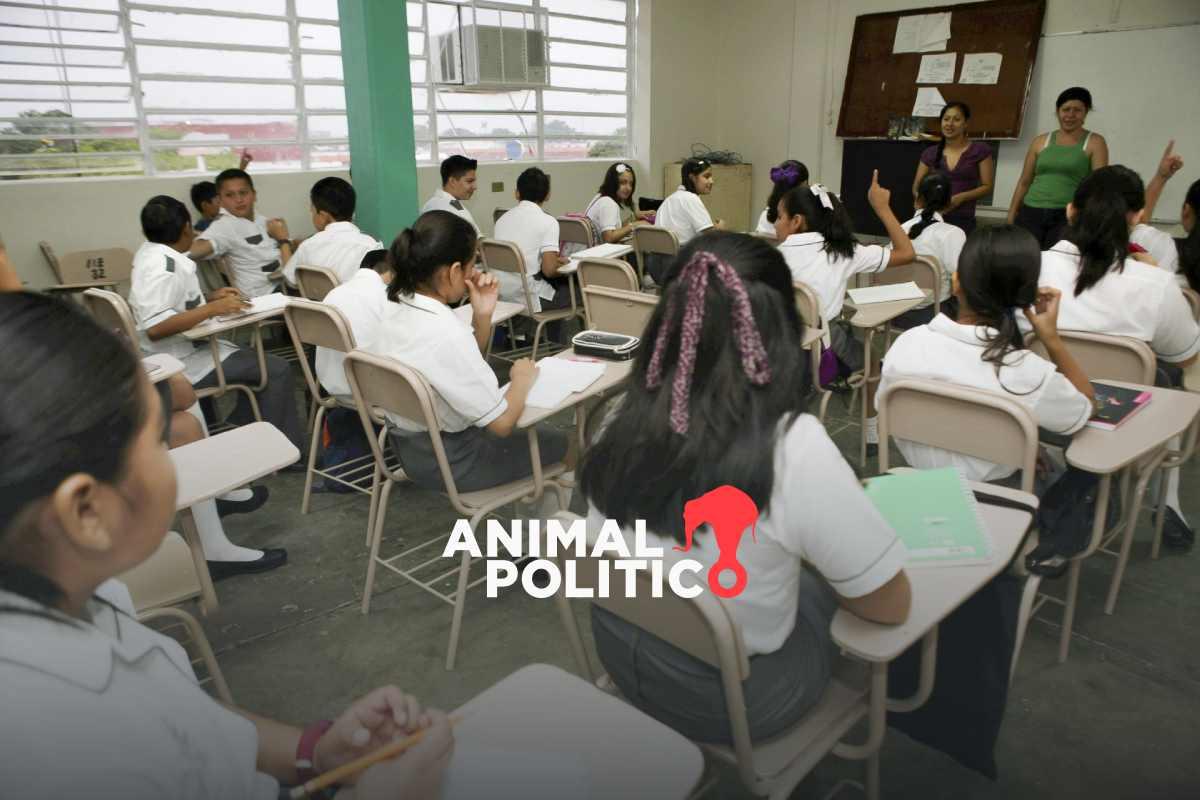 Educación básica, en su peor nivel en una década; la matrícula escolar no se ha recuperado tras la pandemia