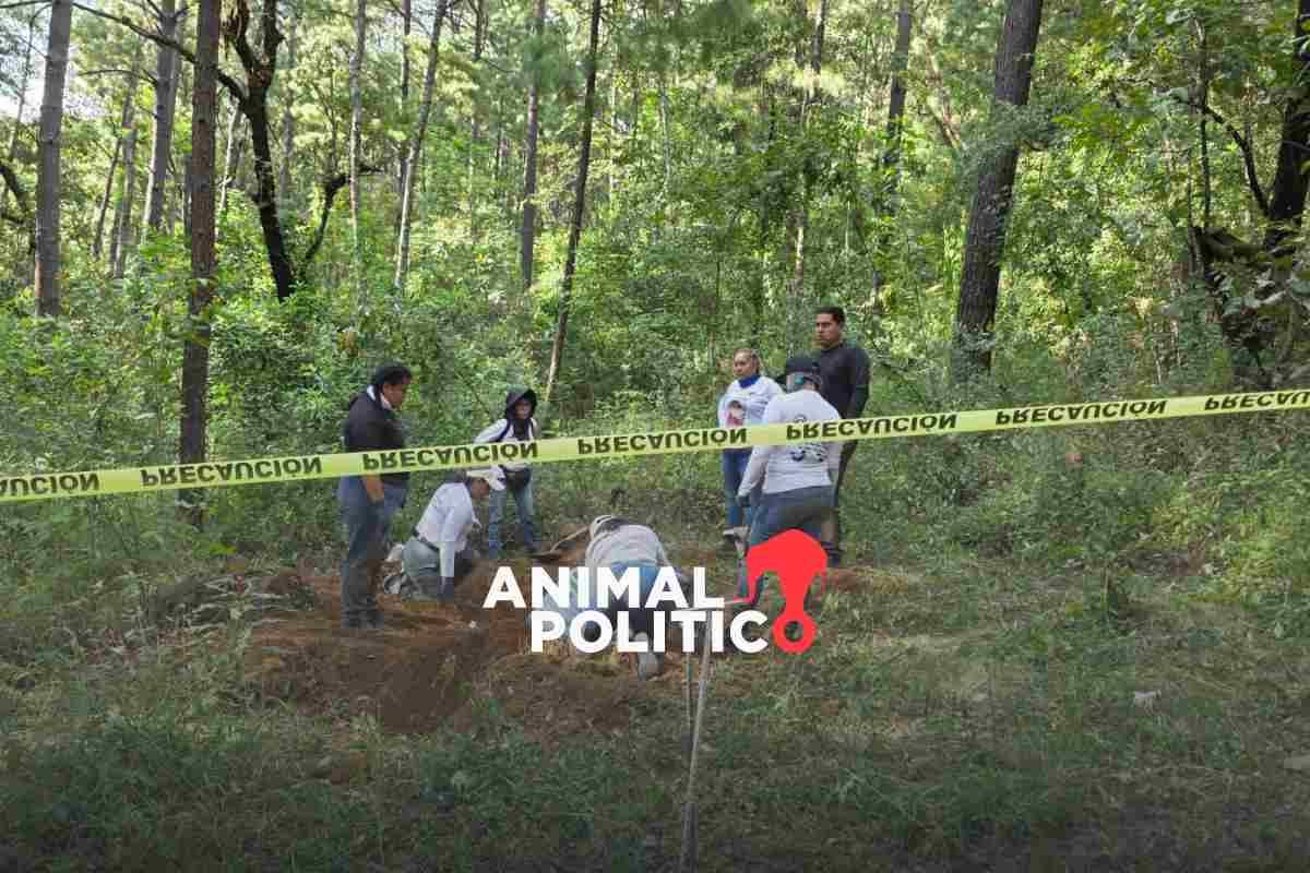 Hallan cuerpos en predio del diputado del Movimiento del Sombrero, Carlos Bautista en Uruapan