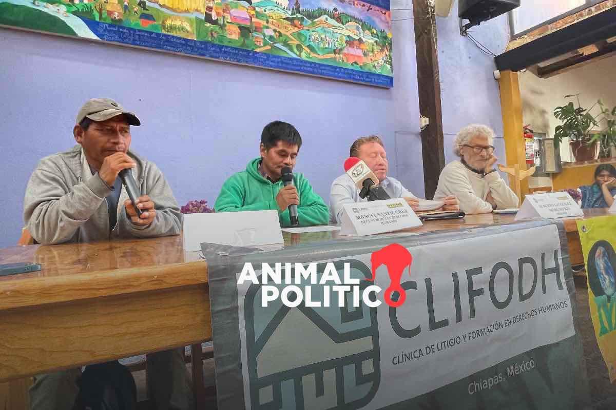 Liberan en Chiapas a cinco tzeltales defensores del territorio encarcelados tres años y medio por un delito fabricado