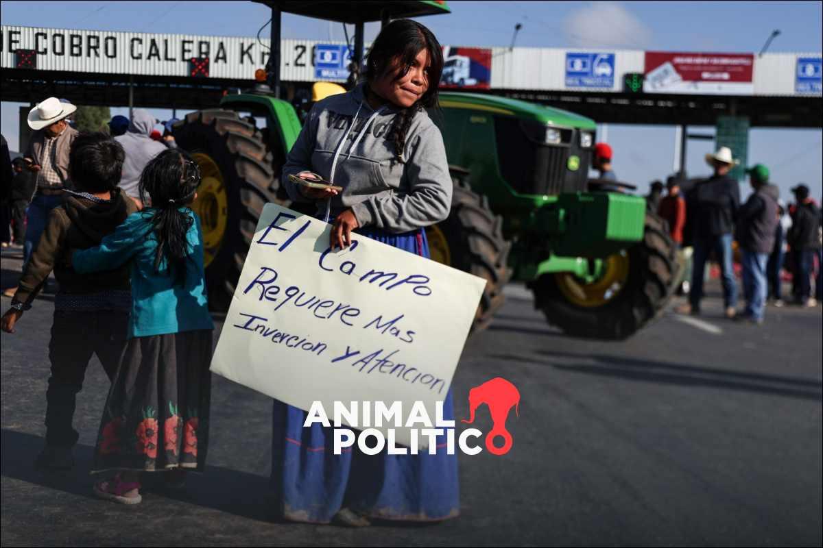 Segob y Sader piden diálogo frente al paro y bloqueos convocados por transportistas y campesinos
