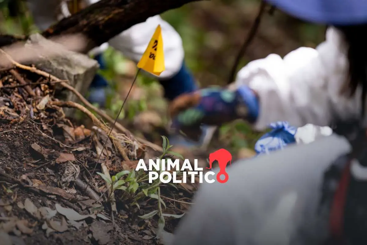 2025 cierra con más de 2 mil personas desaparecidas en CDMX; avanza análisis de hallazgos en GAM, Ajusco y Panteón de Dolores