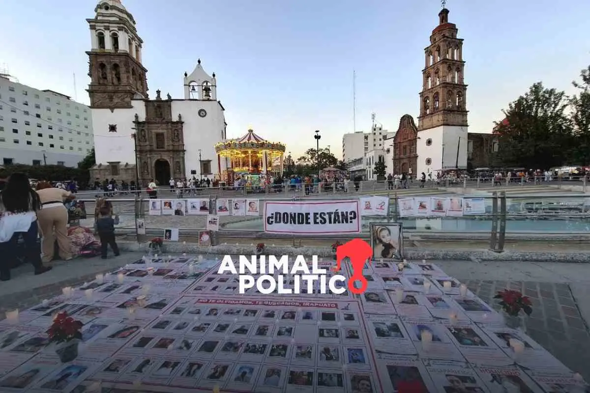 Buscadoras de colectivos de Irapuato, Guanajuato, piden ayuda a organismos internacionales para localizar a desaparecidos