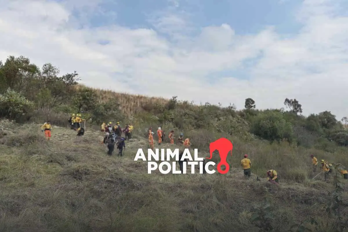 Familiares de desaparecidos llevan su búsqueda y esperanza a la barranca Lomas de Tarango, en Álvaro Obregón