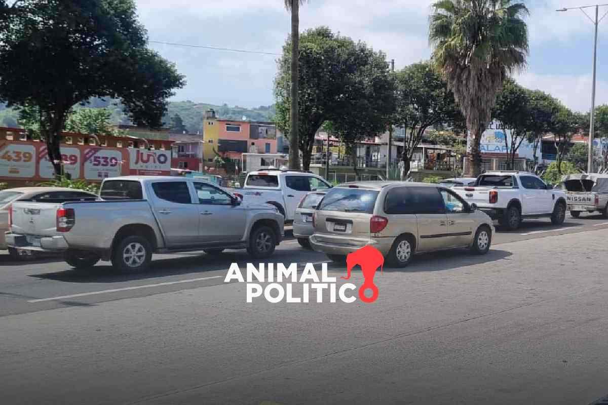 Deudores alimentarios no podrán tramitar licencia de conducir en Veracruz