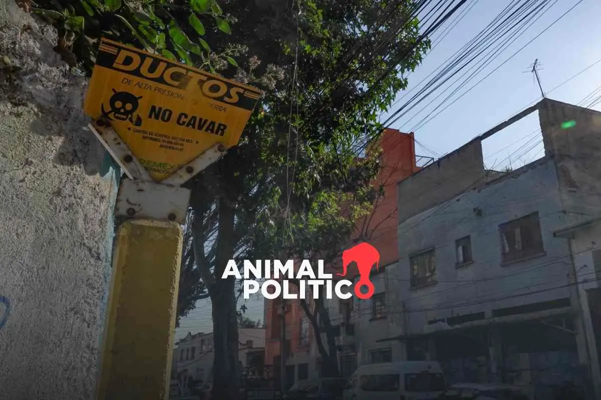 EU bloquea bienes del Cartel de Santa Rosa Lima y de “El Marro” por huachicoleo y tráfico de droga