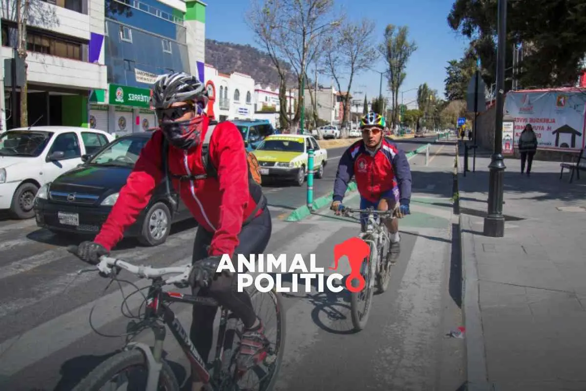 ¿Qué tan ciclista es tu ciudad? Guadalajara, León y CDMX tienen el mayor kilometraje de ciclovías, aunque no todas son seguras