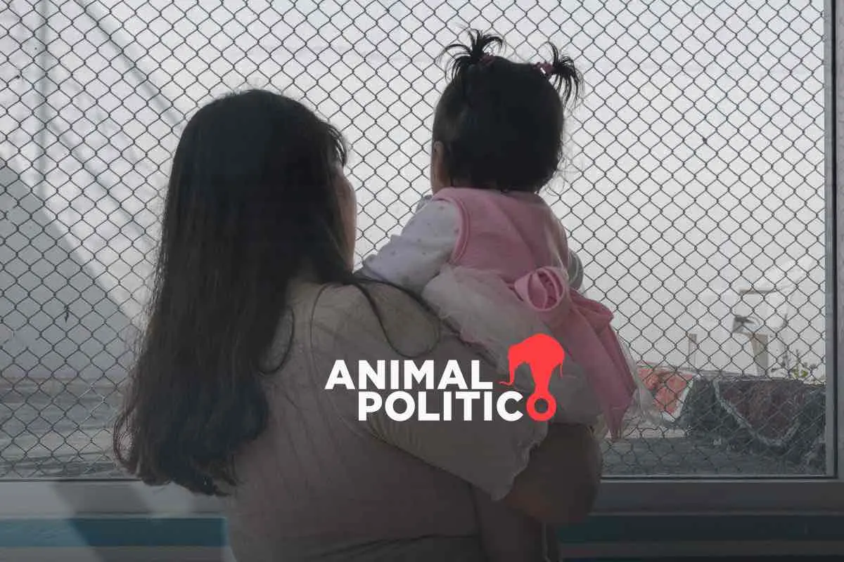 Límite de edad para infancias en prisión vulnera derechos y es contrario a estándares internacionales