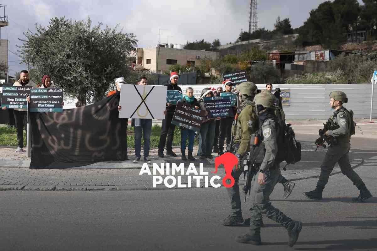 Israel aprueba 19 colonias ilegales más en Cisjordania