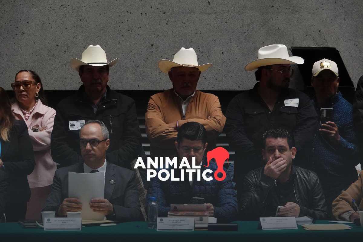 Morena acelera proceso para votar hoy la nueva Ley de Aguas; oposición acusa imposición en medio de protestas