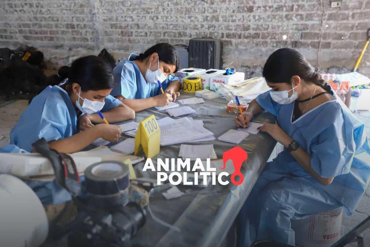 Pese a crisis, gobierno destinó 0.036 % del presupuesto 2024 para atención forense y desapariciones