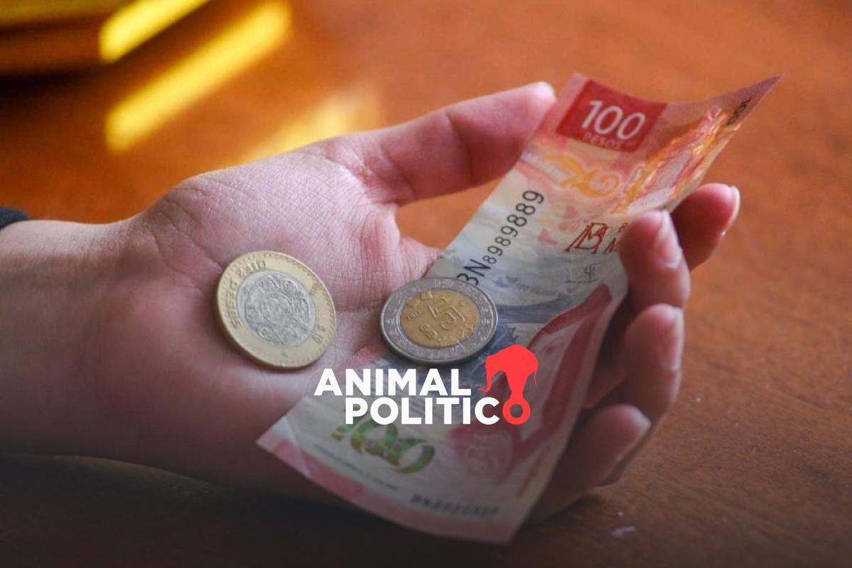 Revocan permiso a Vector para operar como casa de bolsa tras acusaciones de EU por presunto lavado de dinero