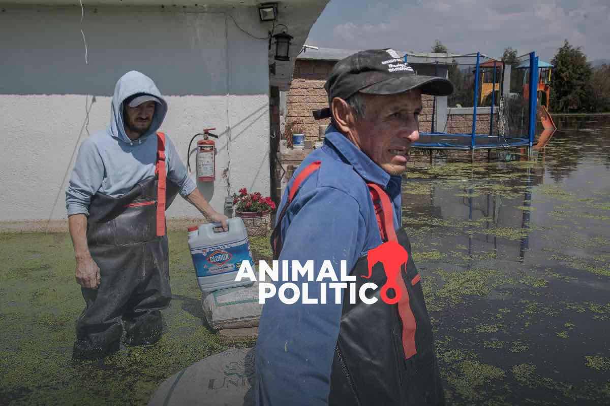 “Seguimos enlodados”: Santa Cruz Chignahuapan, tres meses bajo aguas negras y sin respuesta oficial