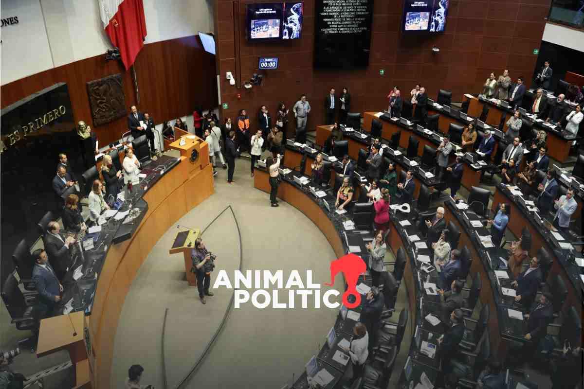 Senado niega licencia de paternidad a juez; discusión divide a morenistas