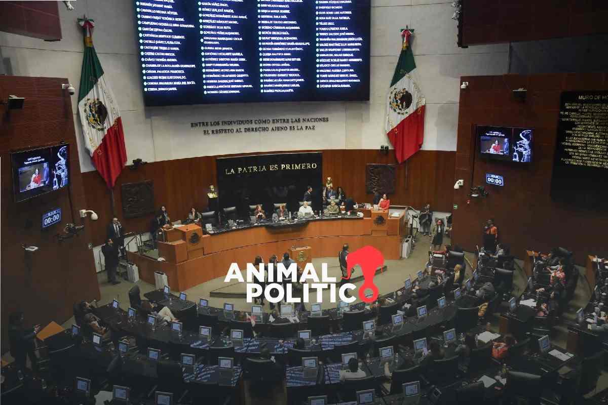 Senado recibe 43 registros de aspirantes para dirigir la FGR; Ernestina Godoy entre los perfiles