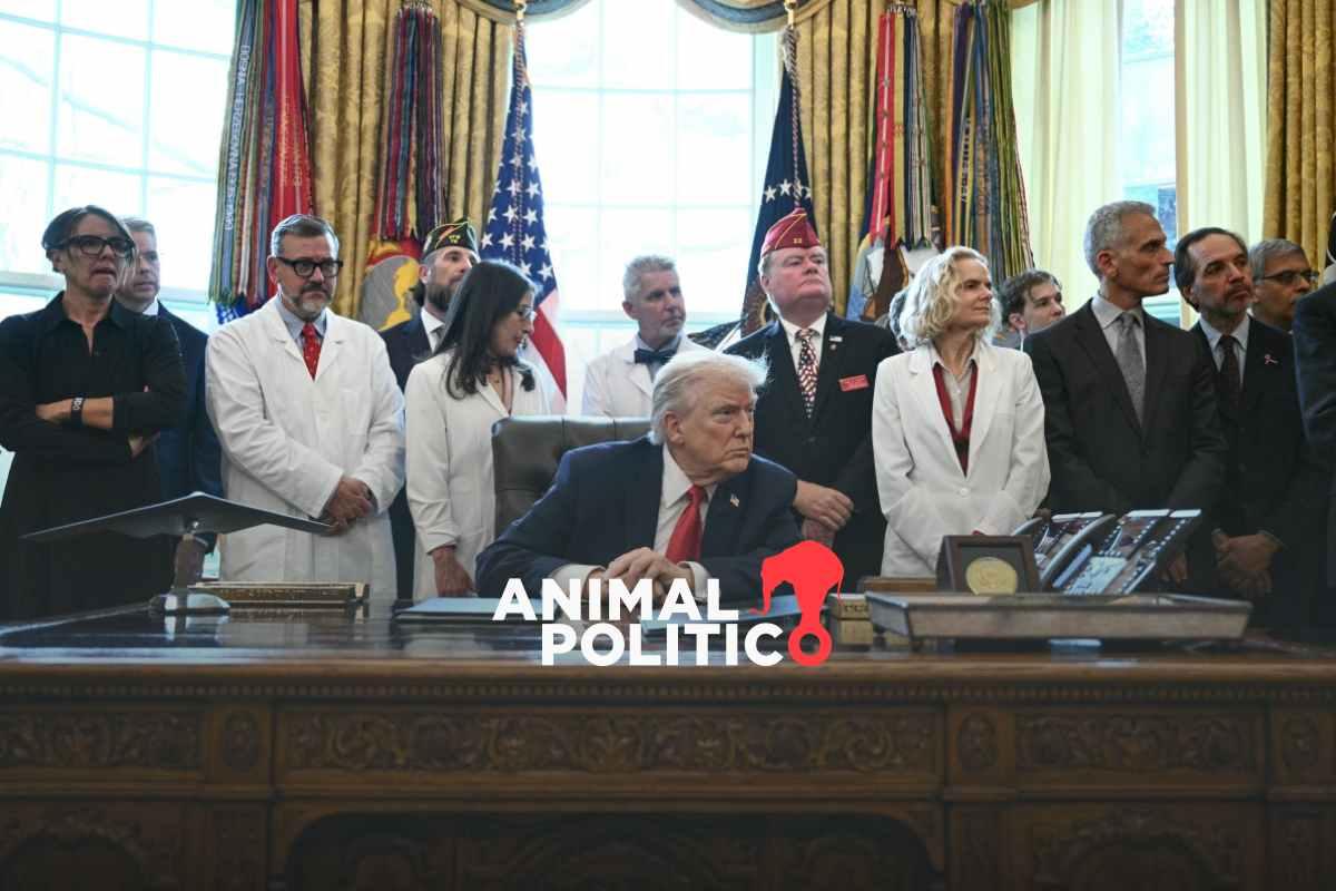 Trump dice que no necesita autorización del Congreso para atacar a cárteles en Venezuela