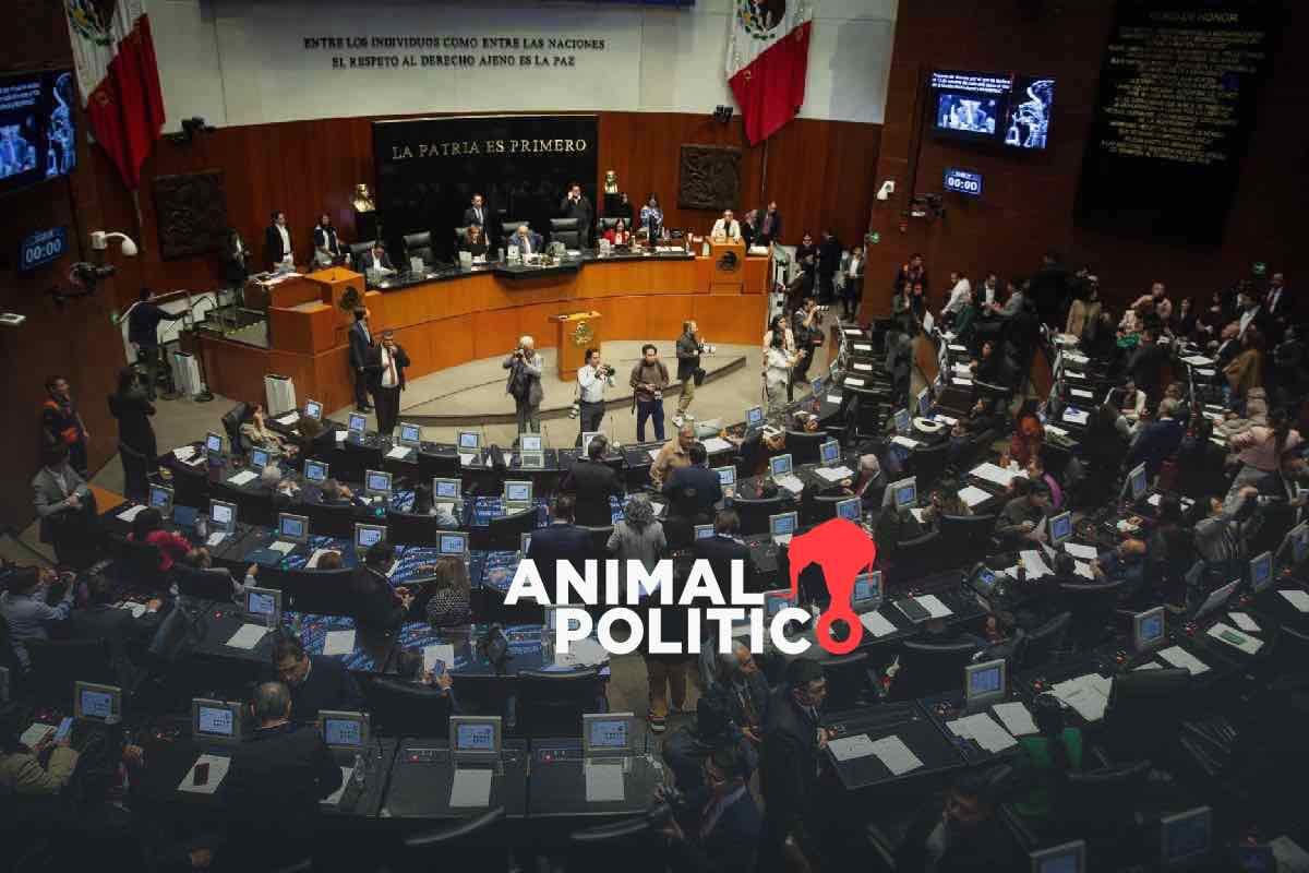 Un periodo sin propuestas en el Senado: 24 legisladores no presentaron ni una iniciativa