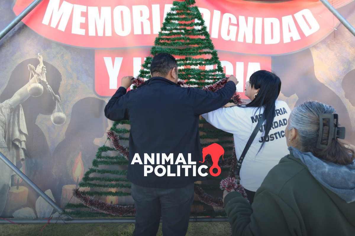 Personas que buscan a sus familiares entre los cuerpos del crematorio Plenitud colocan árbol de navidad para exigir justicia