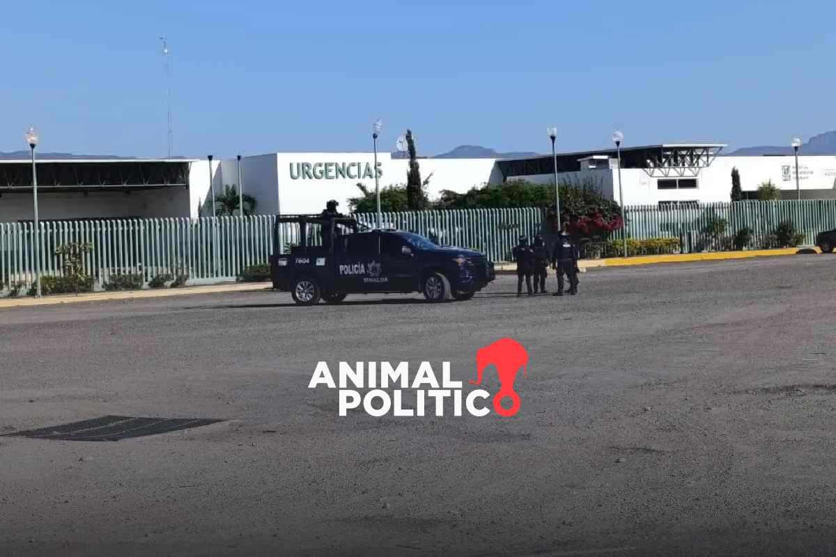 Violencia en Sinaloa: nuevo enfrentamiento en Escuinapa; hallan hieleras con segmentos humanos en Culiacán