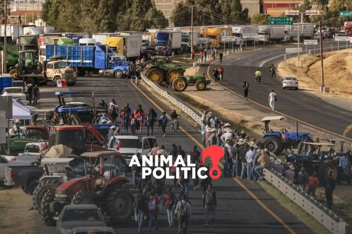 Transportistas y agricultores logran acuerdos con el gobierno sobre reforzamiento de seguridad en carreteras y apoyos al campo