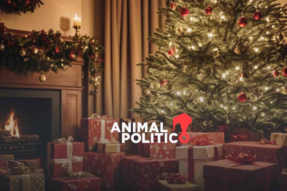 Envuelve tus regalos de Navidad gratis en CDMX: checa dónde estarán los módulos