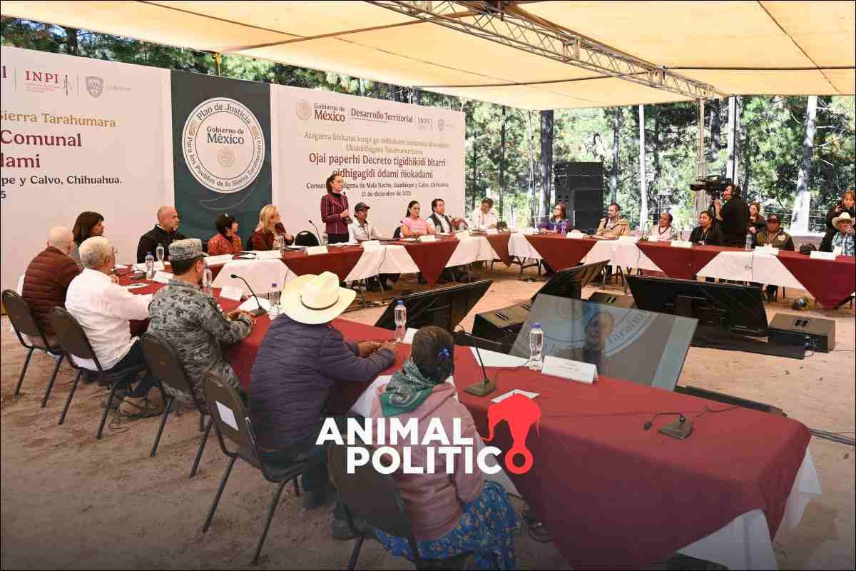 En Guadalupe y Calvo, parte del Triángulo Dorado, Sheinbaum promete más presencia de la Guardia Nacional