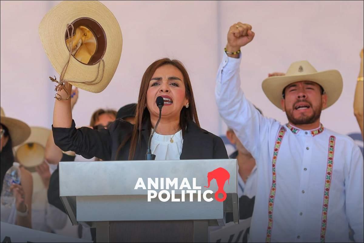 IMPI otorgará registros a Grecia Quiroz por el nombre de Carlos Manzo y Movimiento del Sombrero, afirma Santiago Nieto