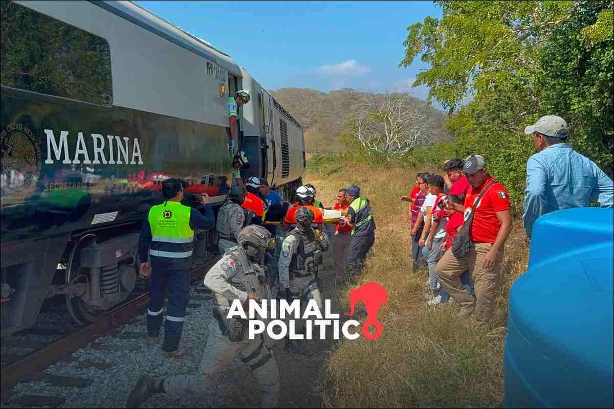 Segob difunde los nombres de las 70 personas hospitalizadas por el accidente del Tren Interoceánico