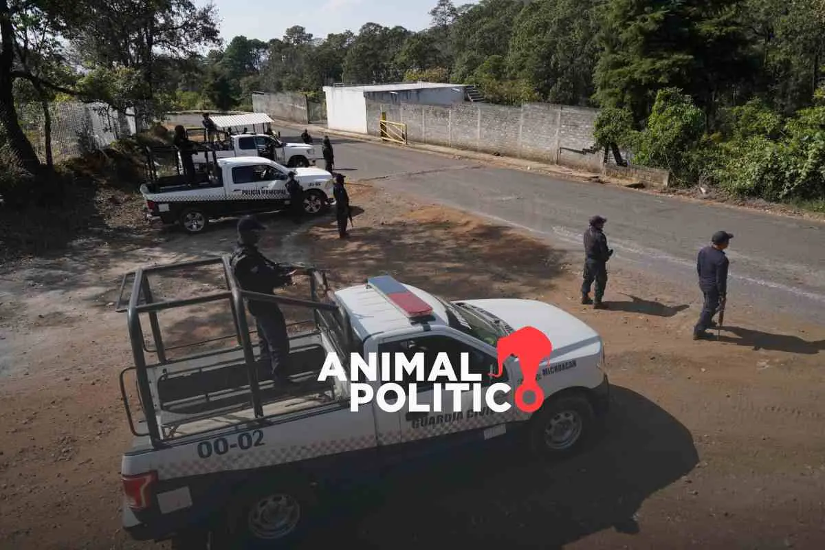 México 2025: menos homicidios en las cifras oficiales, más desapariciones y guerra criminal