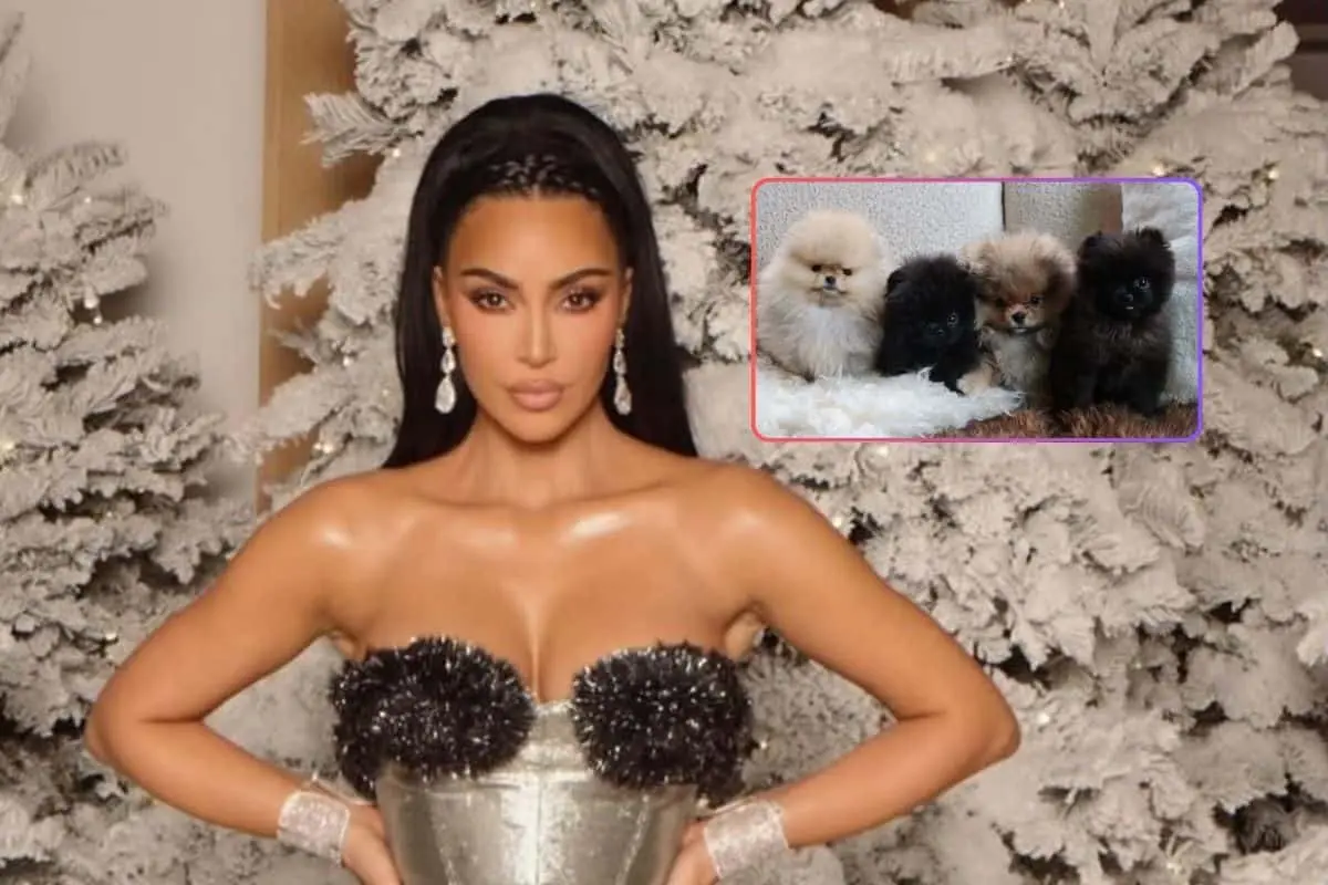 “Los cachorros no son peluches”, PETA critica a Kim Kardashian por regalar perritos en Navidad