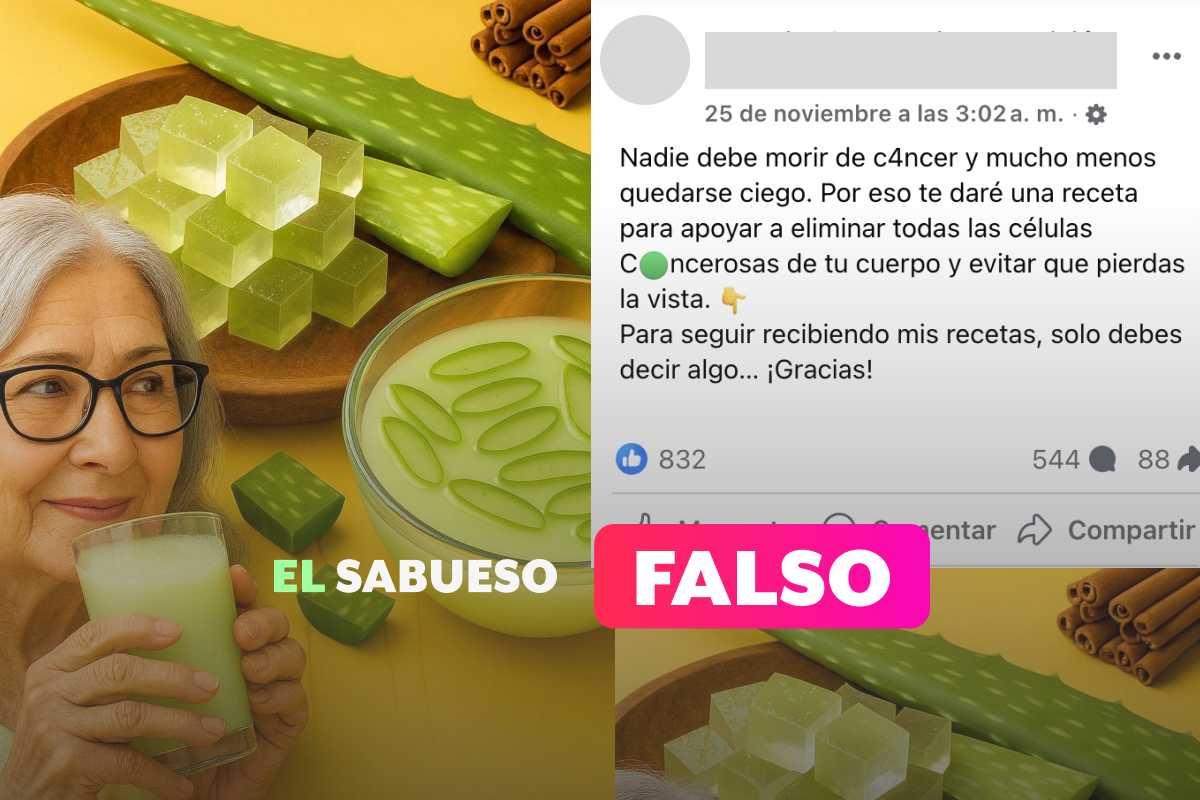 La receta viral y “milagrosa” con aloe vera no cura el cáncer