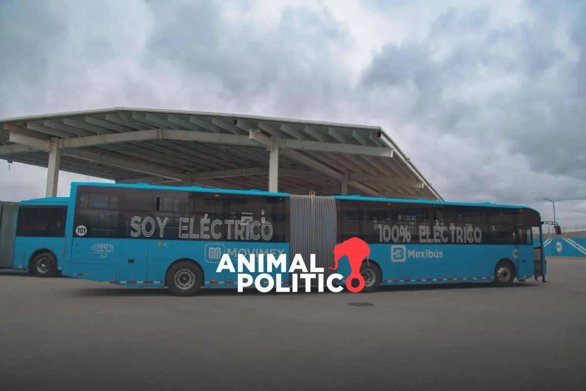 Adiós al tráfico: estas serán las estaciones de la nueva Línea 5 del Mexibús que llegará a El Rosario