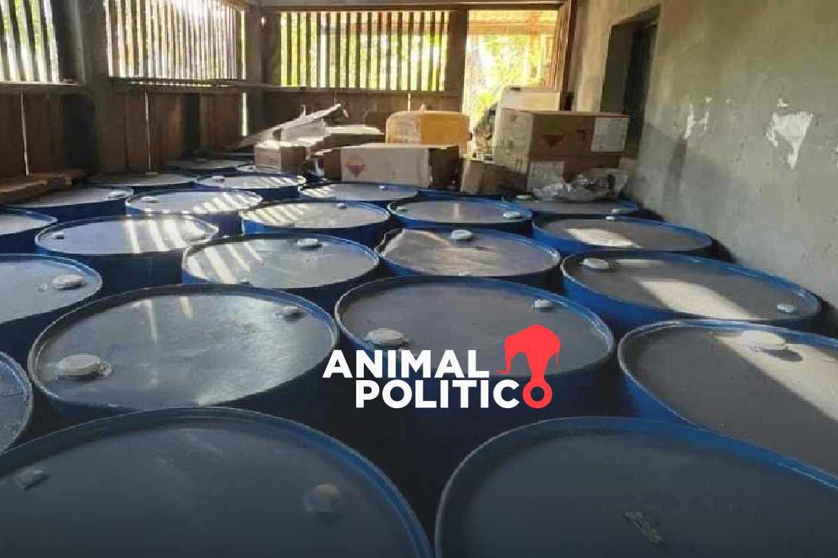 Desarticulan en Guerrero campamento de drogas presuntamente ligado a Omar Coronel Aispuro, cuñado de “El Chapo” Guzmán