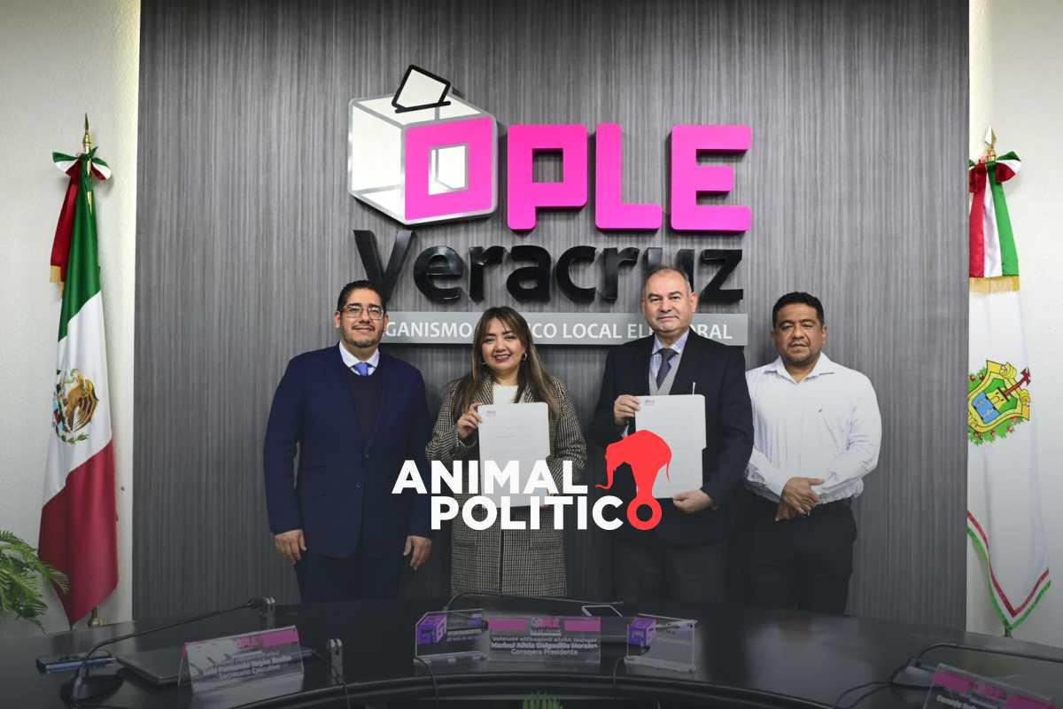 Elección extraordinaria en Tamiahua, Veracruz, ya tiene fecha tras haber sido anulada: esto dice la convocatoria