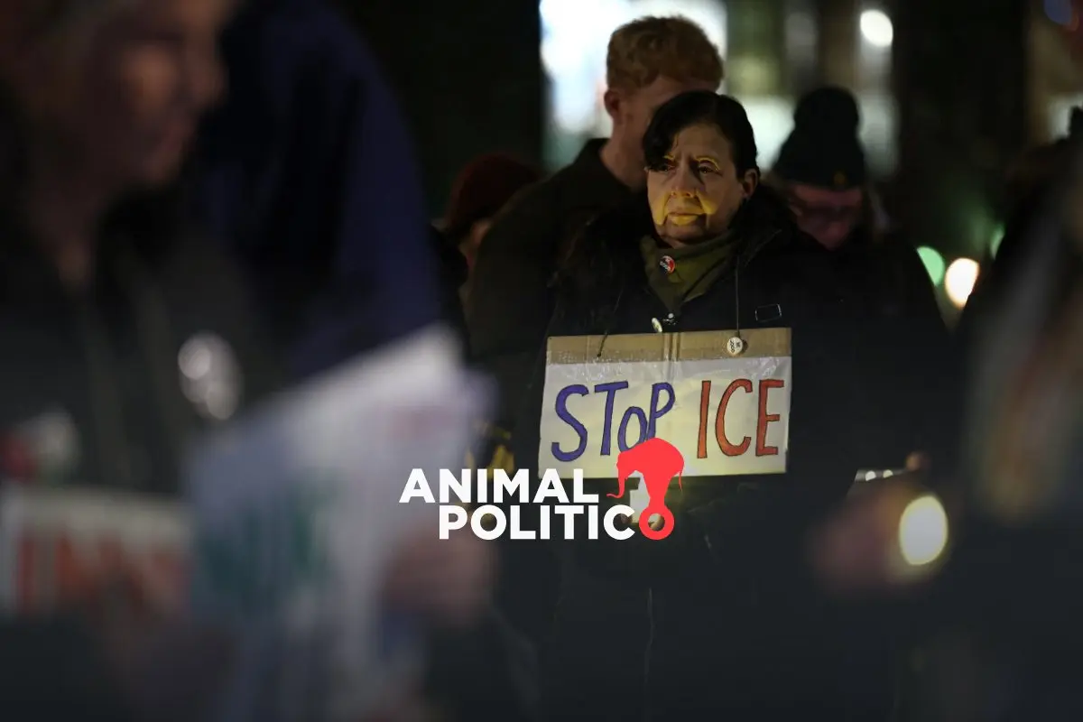 Jueza en EU rechaza solicitud de Minnesota de suspender redadas de inmigración en Mineápolis