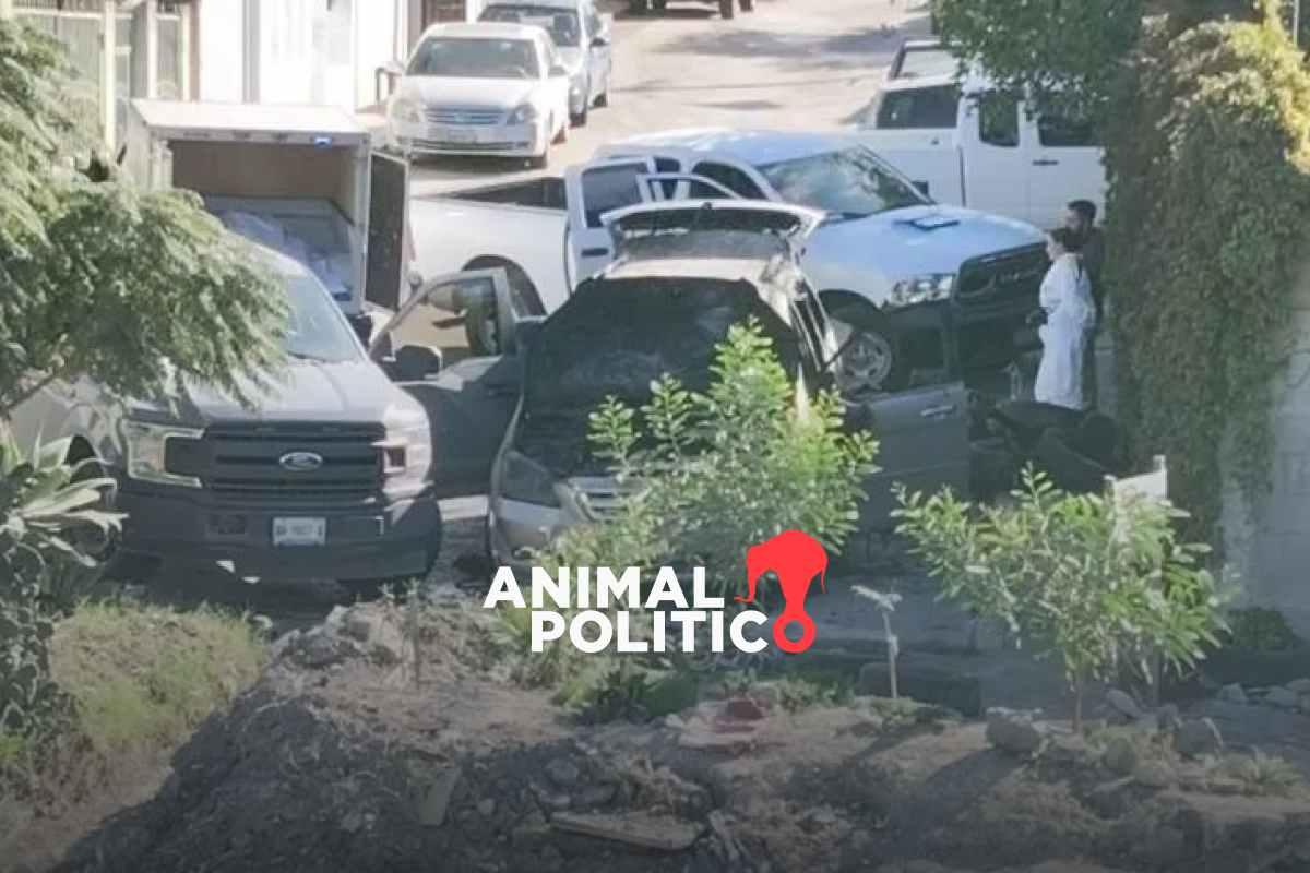 Localizan 24 cuerpos en fosas clandestinas en Baja California; colectivos participan en labores de búsqueda