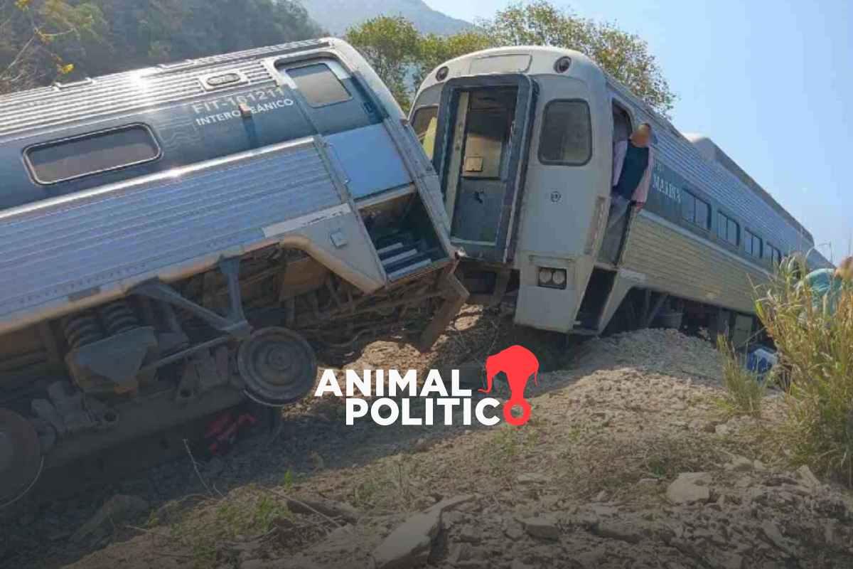 Marina niega que Tren Interoceánico opere sin seguro en 2026 pese a declarar desierta licitación; convenios fueron modificados