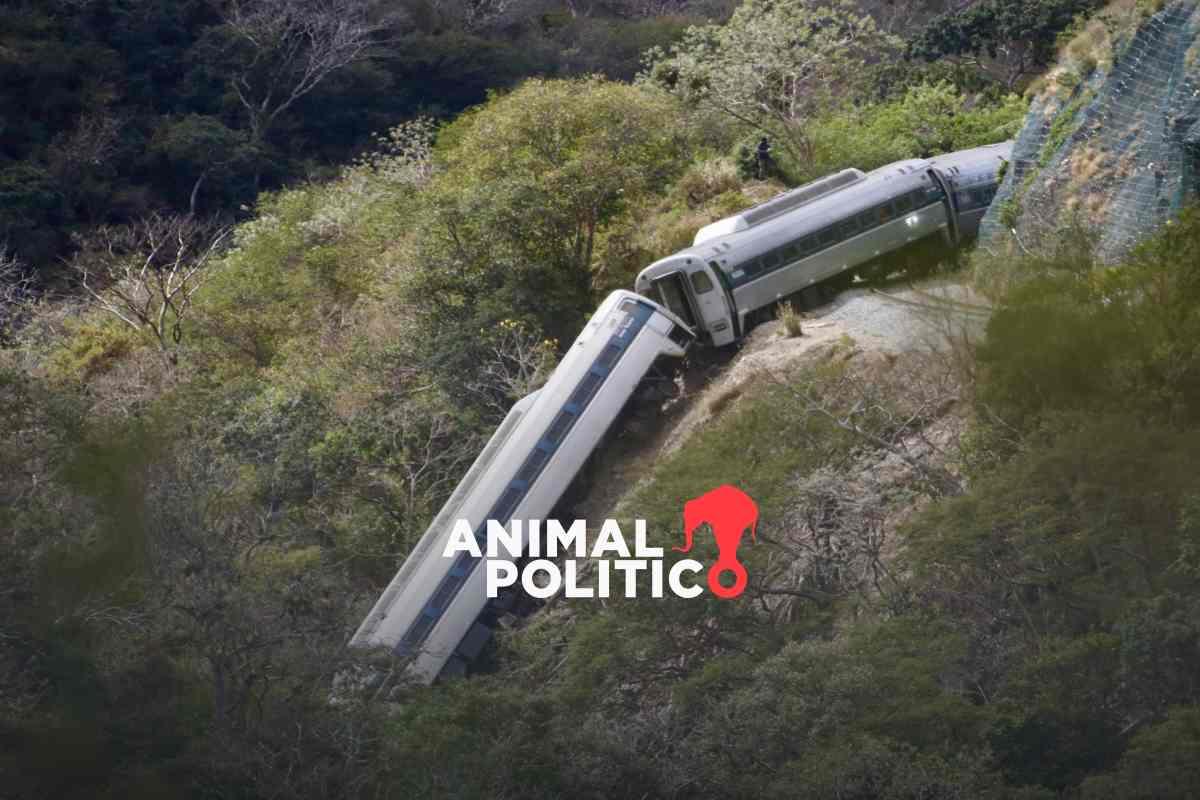 Diputados del PAN presentan denuncia contra Gonzalo López Beltrán, hijo de AMLO, por homicidio tras descarrilamiento del Tren Interoceánico