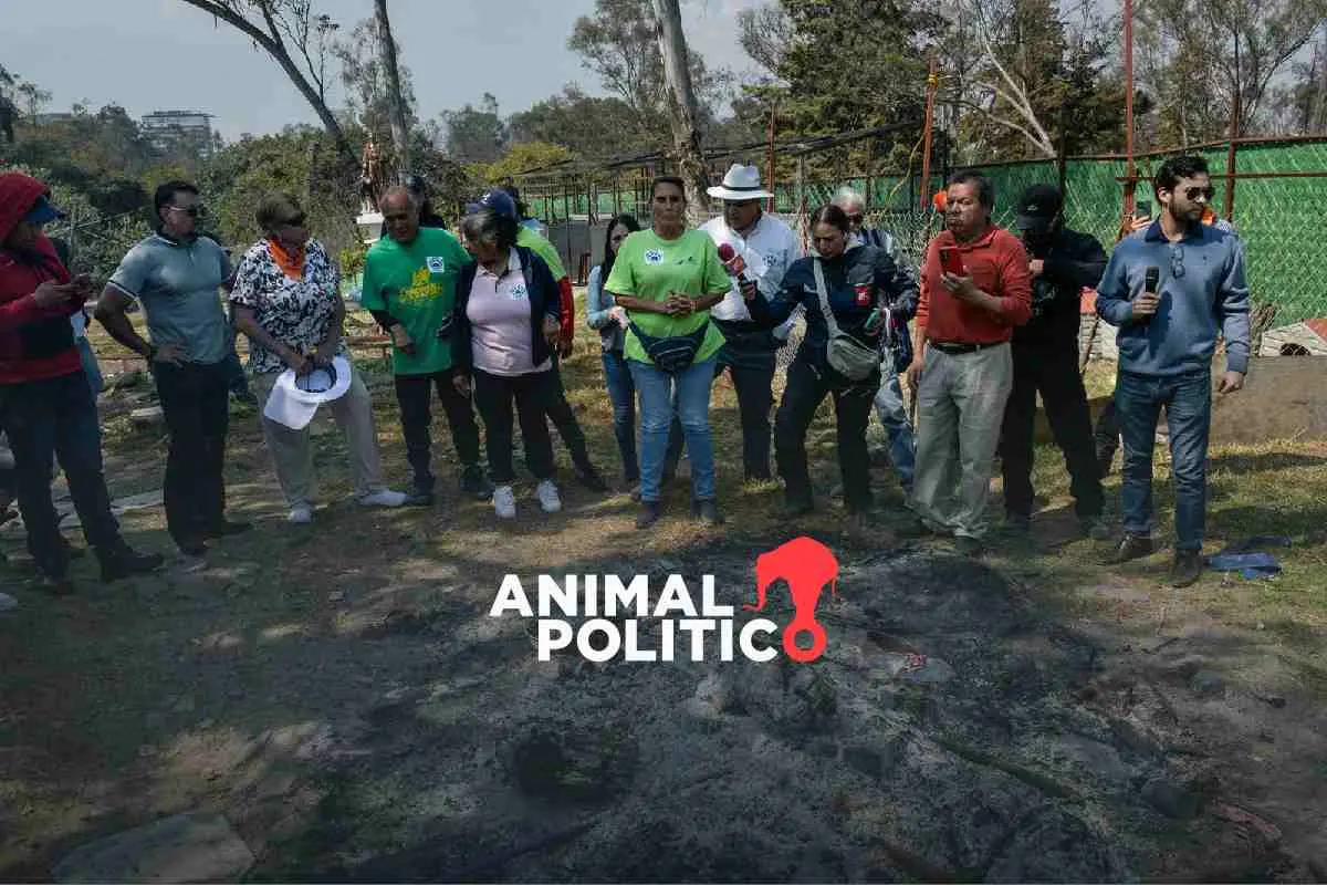 Personal del Refugio Franciscano ingresa al predio en Cuajimalpa pese a rechazo de Fundación Antonio Haghenbeck